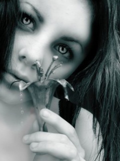 Other Wallpapers 0742